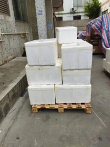 Frozen Food Shipping Singapore