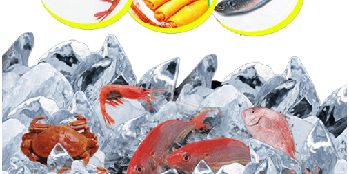 Frozen Food Shipping Singapore