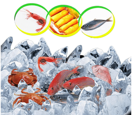 Frozen Food Shipping Singapore