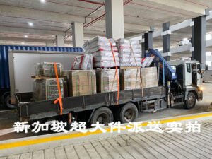 Oversized cargo by sea to Singapore