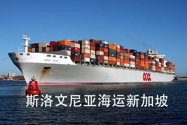 Slovenia Shipping Singapore