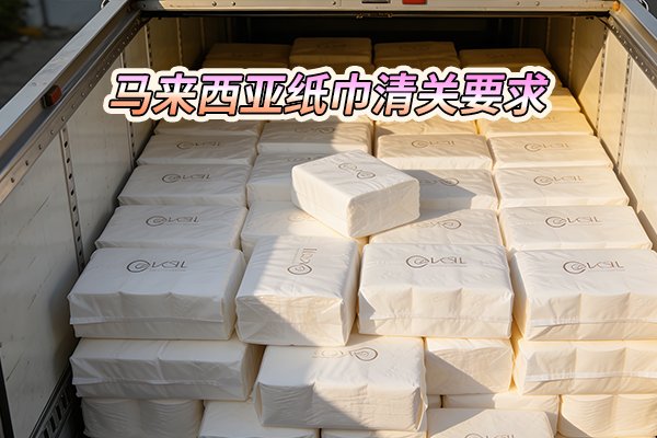 马来西亚纸巾清关要求